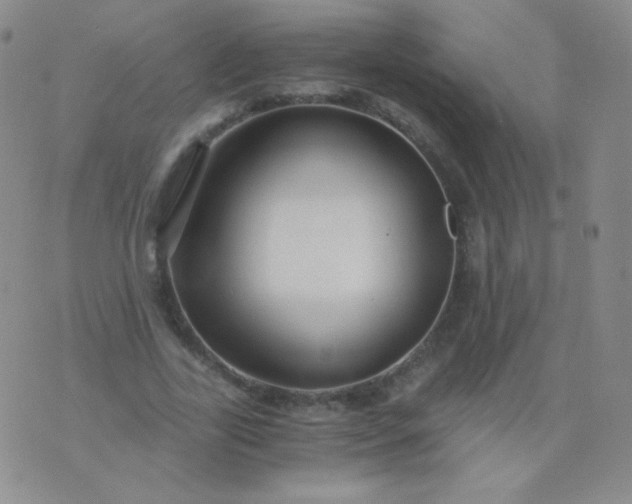 X0000076270731200610122254