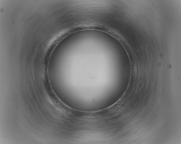 X0000076270732200610122254