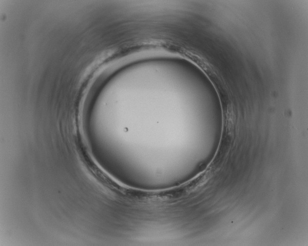 X0000076270734200610122254