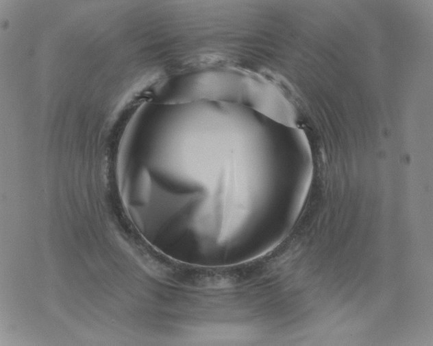 X0000076270735200610122254