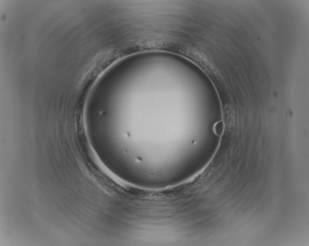 X0000076270738200610122254