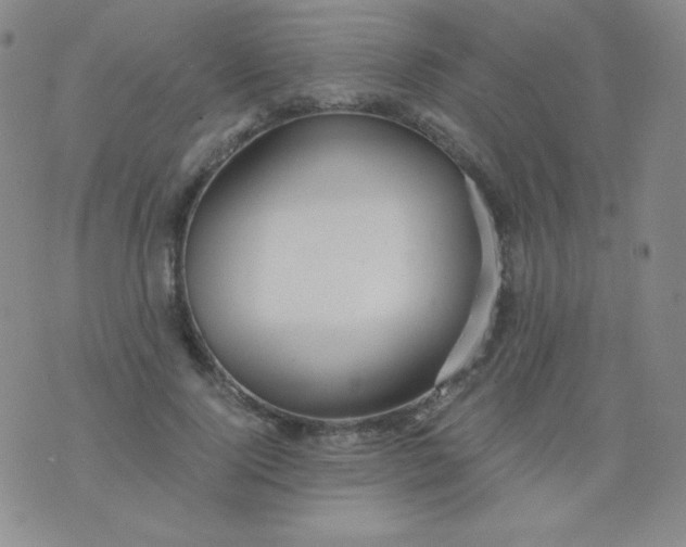 X0000076270740200610122254