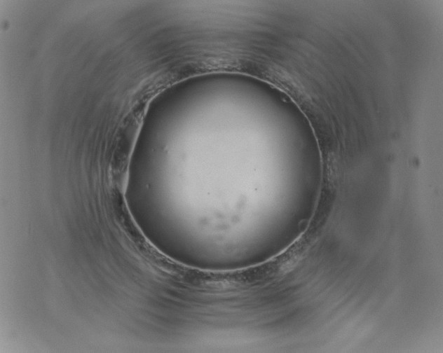 X0000076270741200610122254