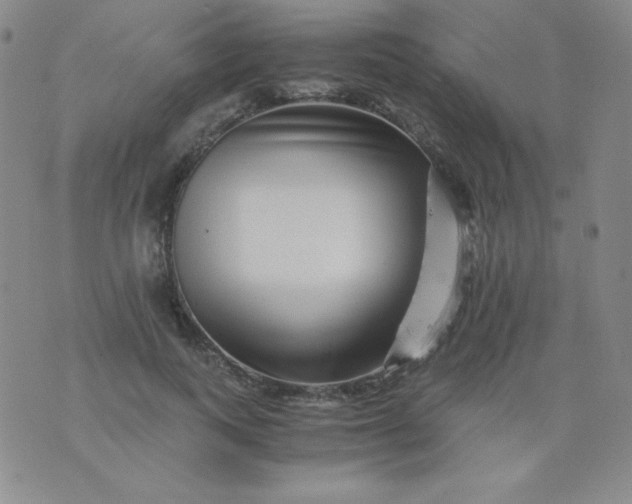 X0000076270743200610122254