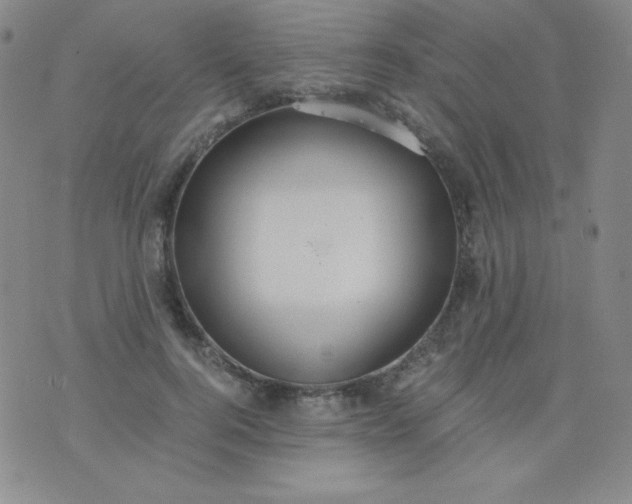 X0000076270744200610122254