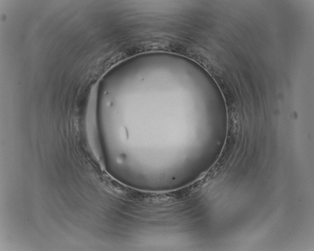 X0000076270745200610122255