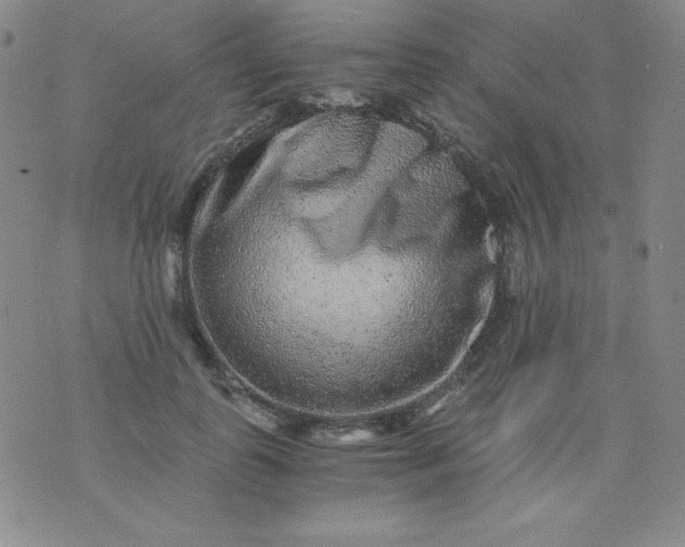 X0000076270747200610122255