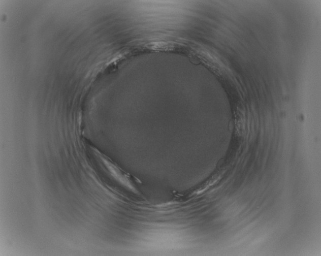 X0000076270748200610122255