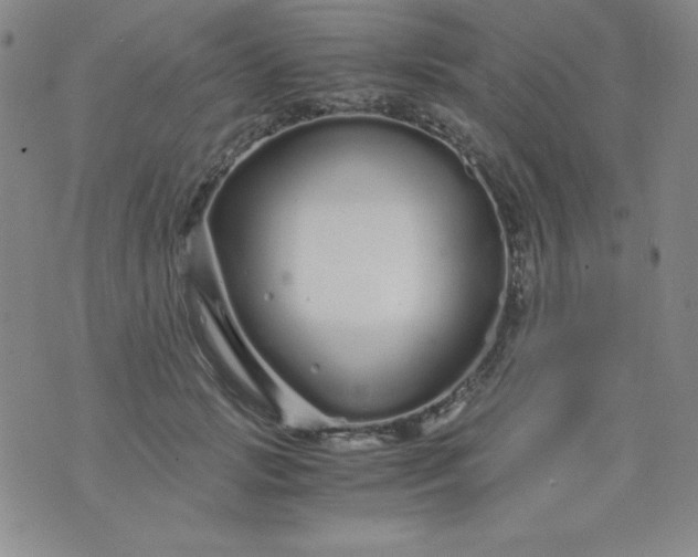 X0000076270749200610122255