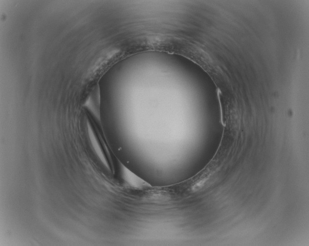 X0000076270750200610122255