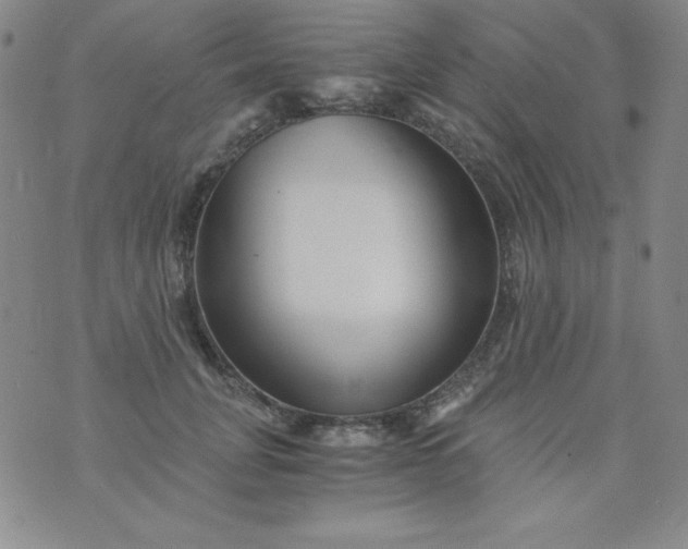 X0000076270751200610122255