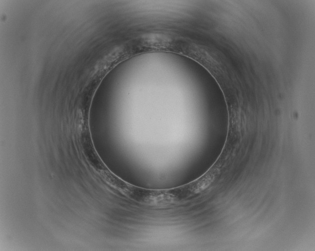 X0000076270752200610122255