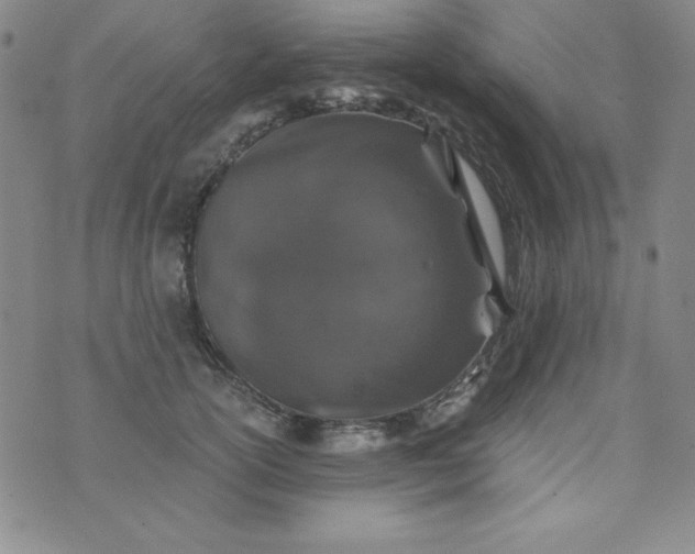 X0000076270754200610122255