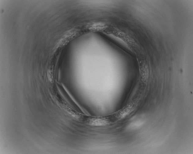 X0000076270755200610122255