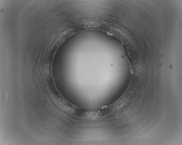 X0000076270756200610122255