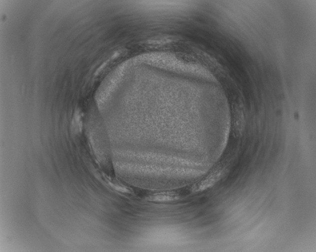 X0000076270758200610122255