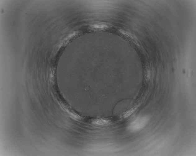 X0000076270759200610122255