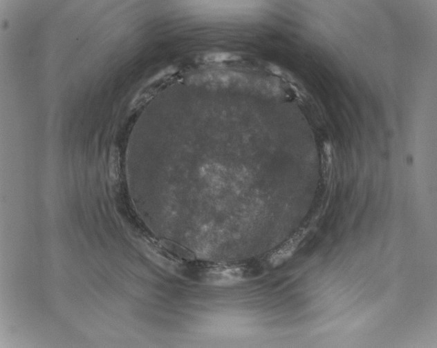 X0000076270760200610122255