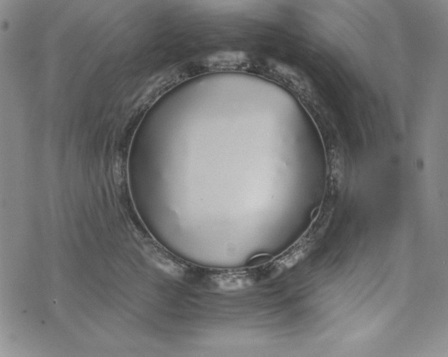 X0000076270761200610122255