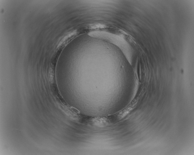 X0000076270762200610122255