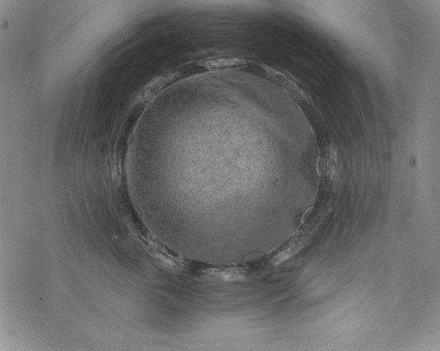 X0000076270763200610122255