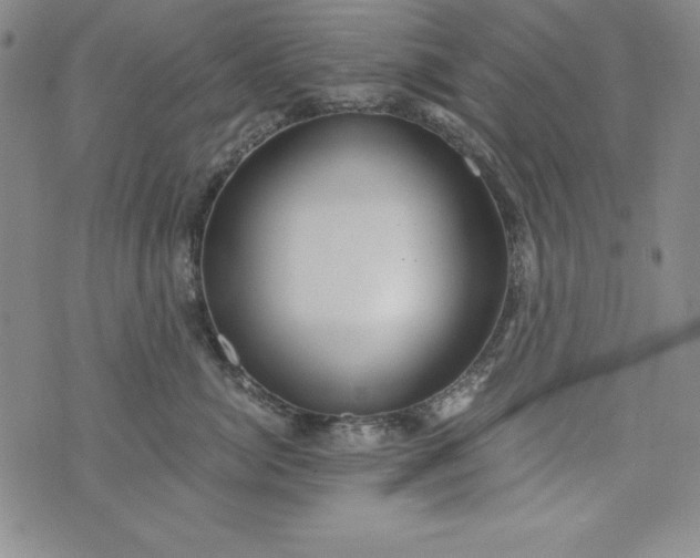 X0000076270764200610122255