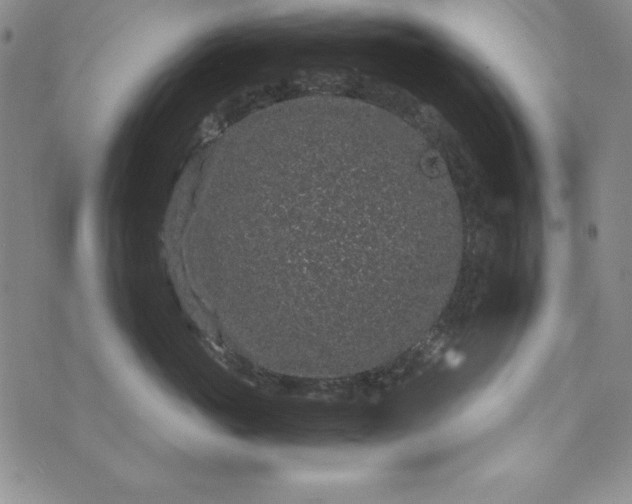 X0000076270765200610122255