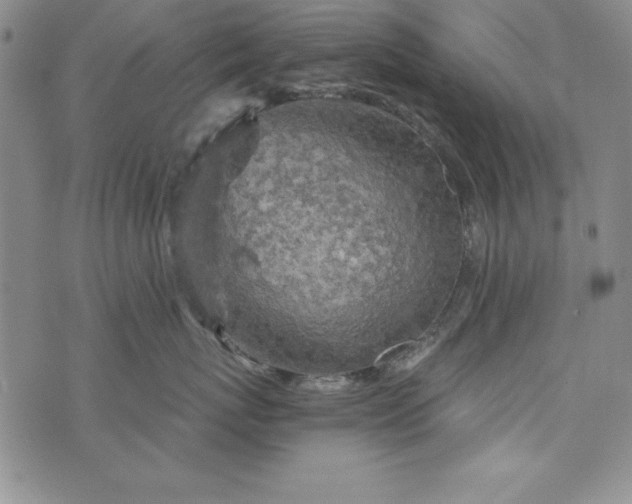 X0000076270767200610122255