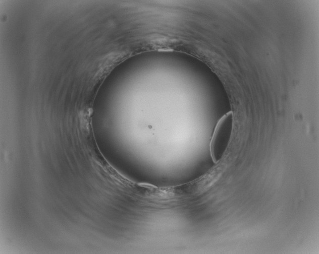 X0000076270768200610122255