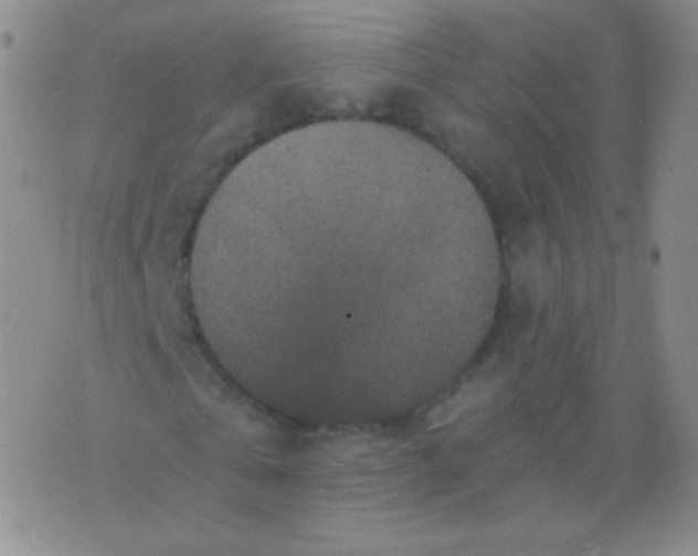 X0000076270769200610122254