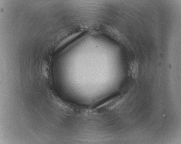 X0000076270770200610122254