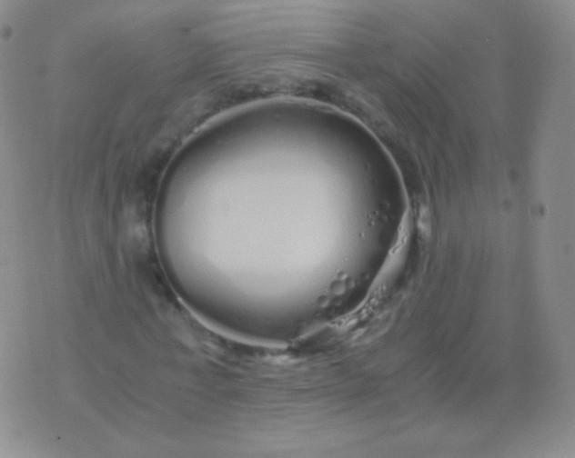 X0000076270771200610122254