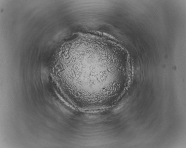 X0000076270772200610122254