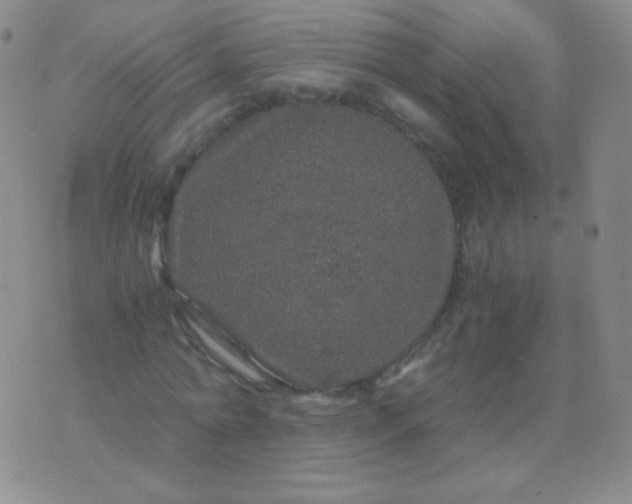 X0000076270774200610122254