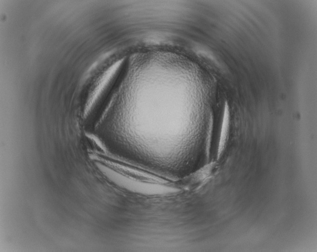 X0000076270776200610122254