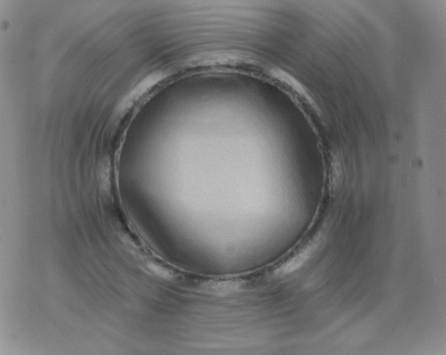 X0000076270778200610122254