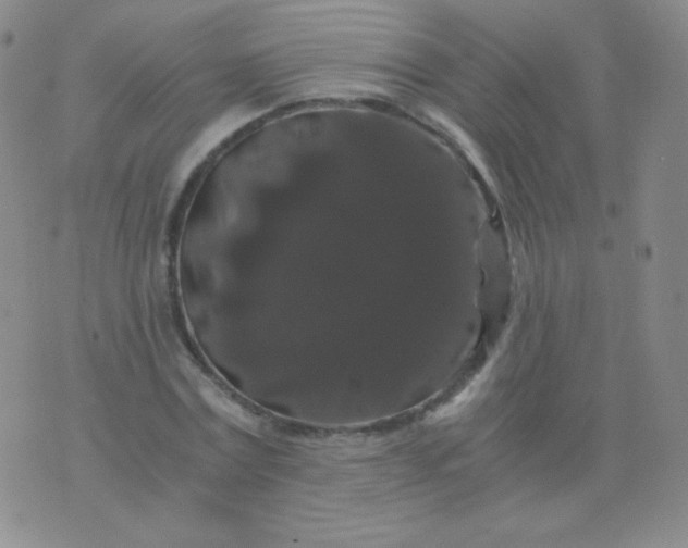 X0000076270779200610122254