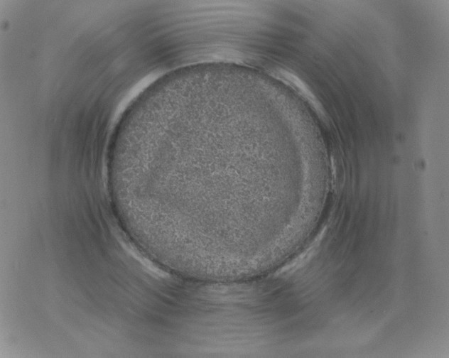 X0000076270780200610122254