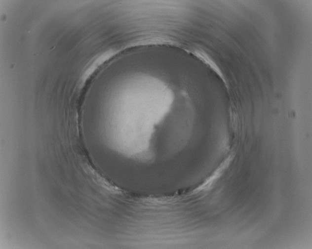 X0000076270781200610122254