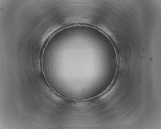 X0000076270782200610122254