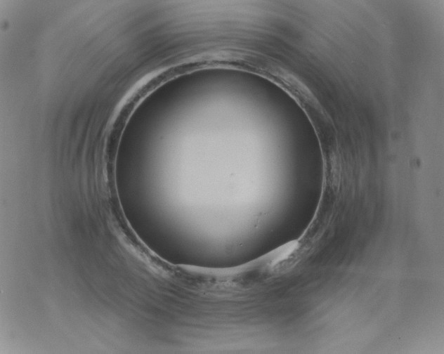 X0000076270784200610122254