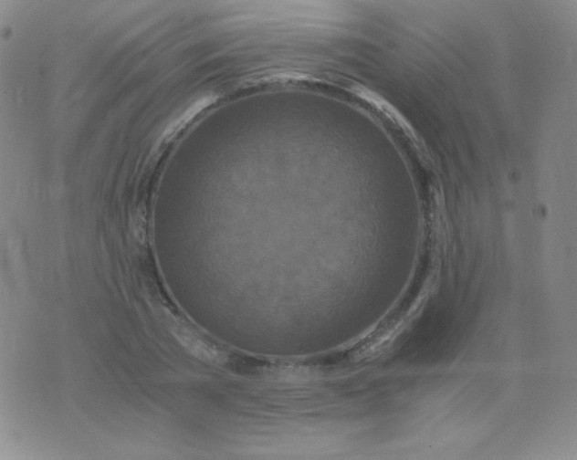 X0000076270785200610122254