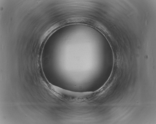 X0000076270786200610122254