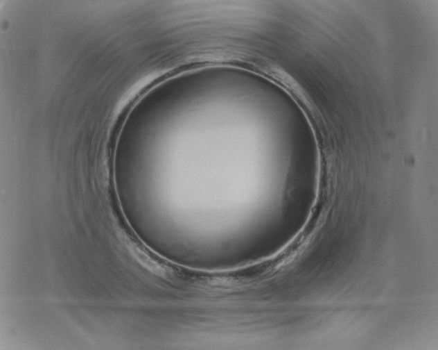 X0000076270787200610122254