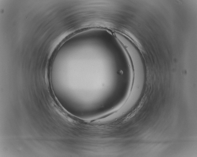 X0000076270788200610122254