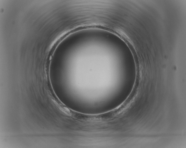 X0000076270789200610122254