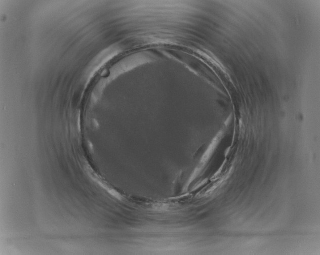 X0000076270790200610122254