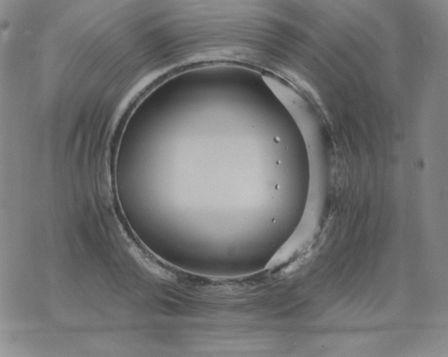 X0000076270792200610122254