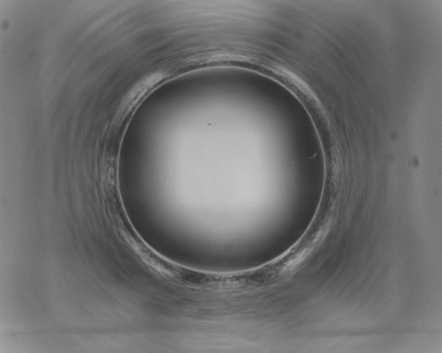 X0000076270793200610122254