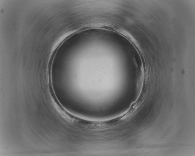 X0000076270795200610122254